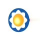 Flower Drum