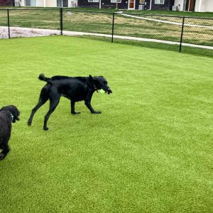 Synthetic Artificial Play Turf